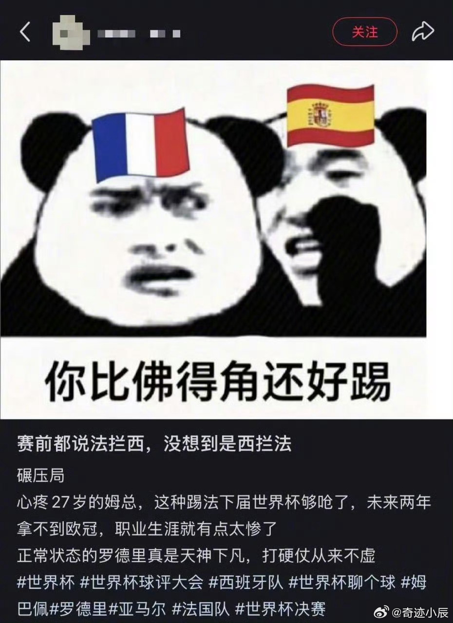 没想到法拦西最后成了西兰花 本来等着看法拦西发威，结果看成西兰花现场，法国全场隐
