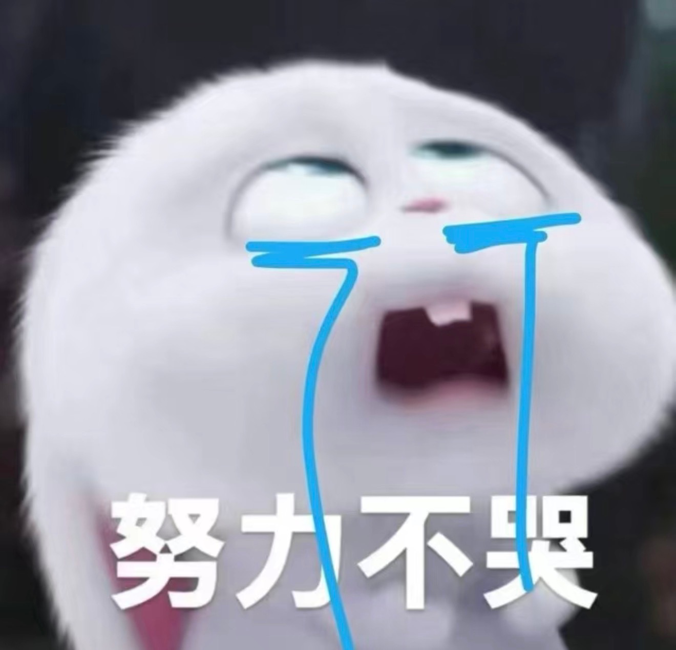 分享图片 