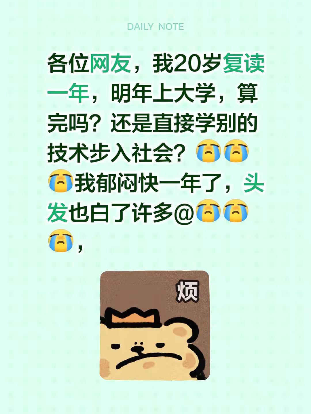 各位网友，我20岁复读一年，明年上大学，算完吗？还是直接学别的技术步入社会？我郁