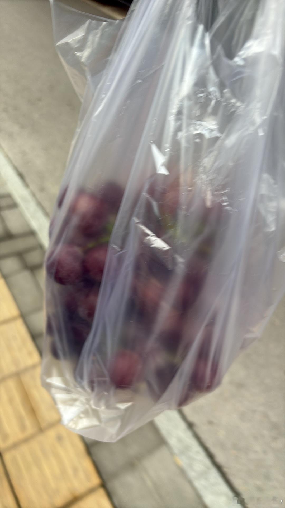 周一不上班也要早起遛个弯赶个早市捡拾一天的快乐加油小老乐 