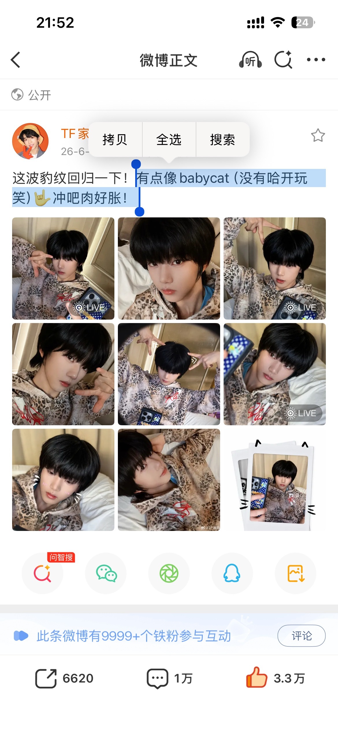 Babycat原来是香水 到底有多爱！？