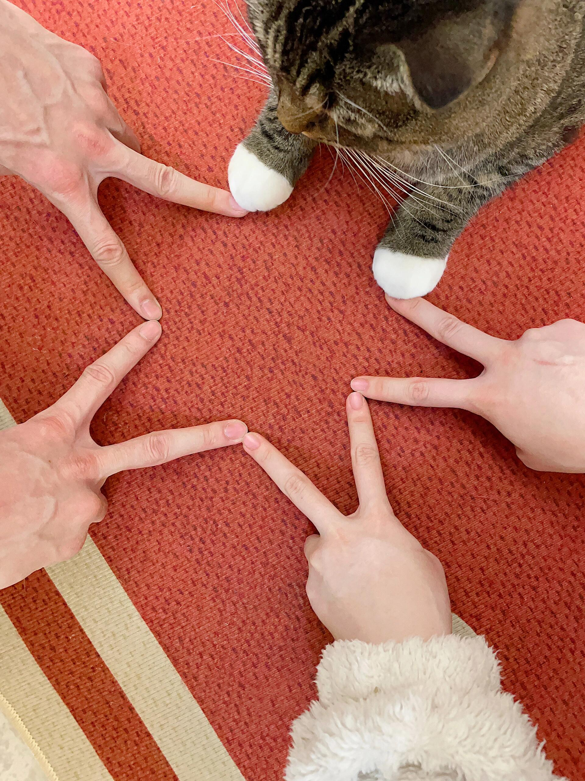 小猫不语，只是一味的配合 