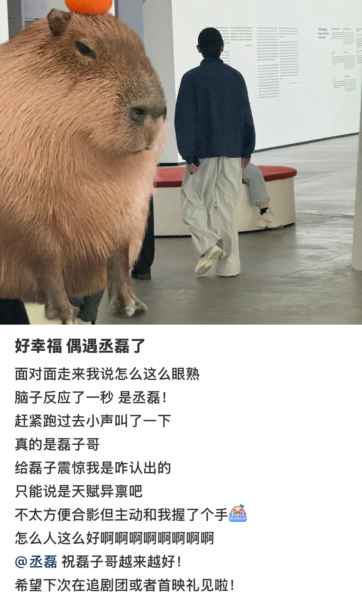 网友偶遇丞磊看展网友北京看展偶遇丞磊 是谁羡慕了我不说 