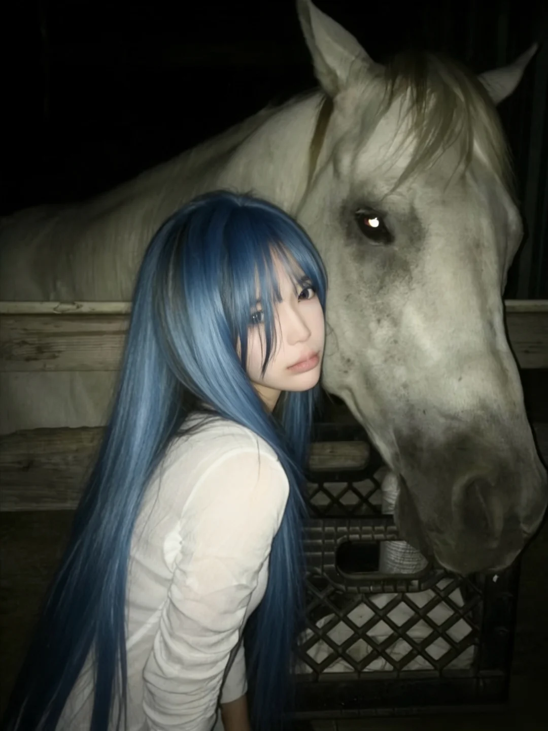 𖤐´𝓾𝓷𝓲𝓬𝓸𝓻𝓷. ₊ ⊹ . ⟡ ₊ .