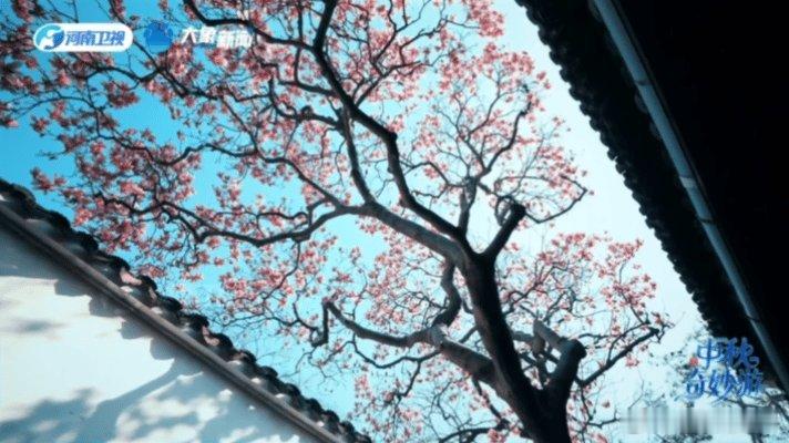 李一桐色彩大师一桐这身唐装把五色演绎活了，这才是顶级东方美学！好好看，每次都被河
