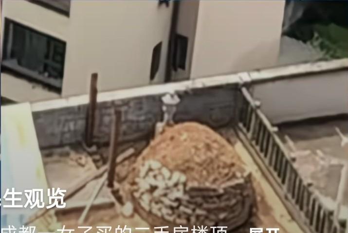 四川成都女子买的二手房，
楼顶有一座坟，
就在客厅正上方买房多年，
毫不知情，