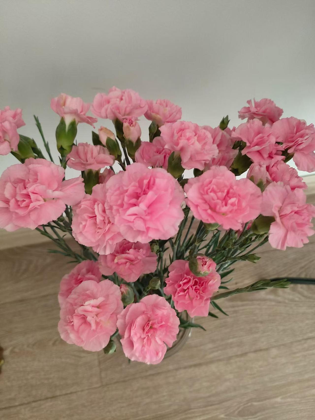 退休生活，
不慌不忙，
不疾不徐，
心怀温柔，步步生花，
不负时光，不负自己，