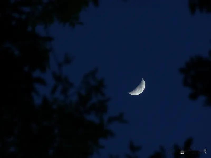 我记得最深的古诗词是李白的《静夜思》。“床前明月光，疑是地上霜”，这诗句一出来，
