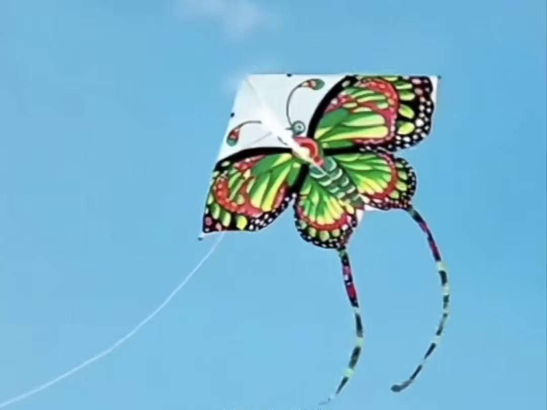 纸鸢
纸鸢欲飞天，
恨被凡人牵。
若真随风去，
早晚化云烟。