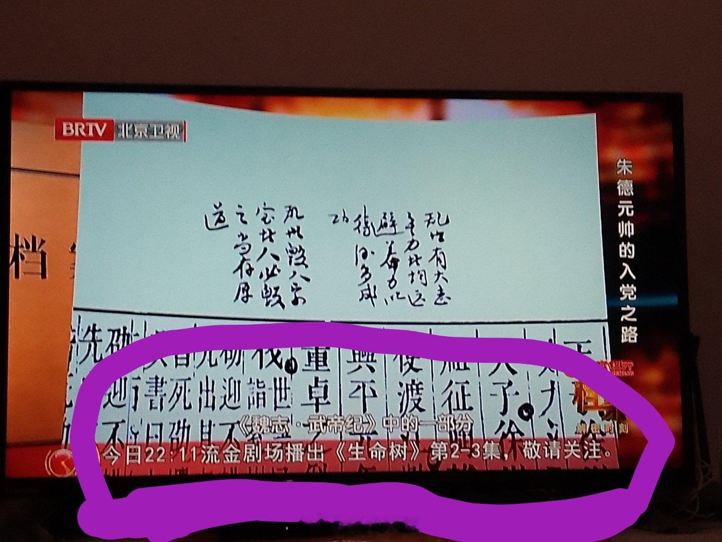 紫的生命树又在北京卫视第二轮重播啦我是调台发现的这都可以生命树大爆剧就要多多轮上