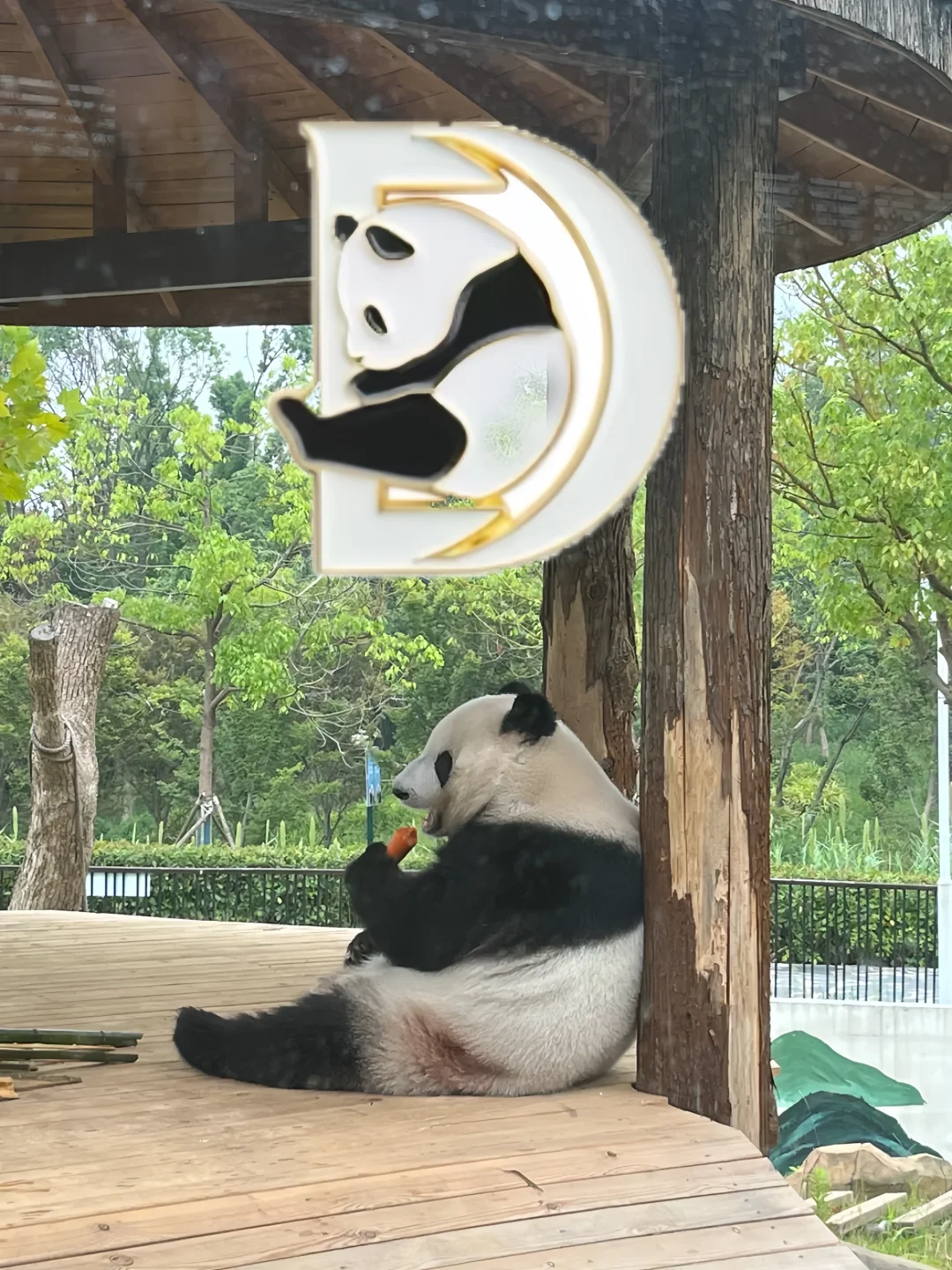 熊抱生命熊抱美！同款🐼🐼