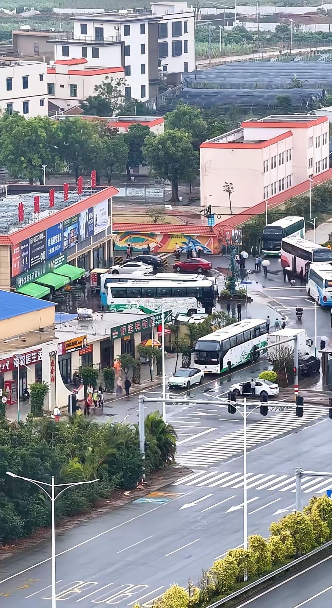 全红婵老家——迈合村每天都有旅游大巴5-6辆停在村口！南方电网因为全红婵的新房，