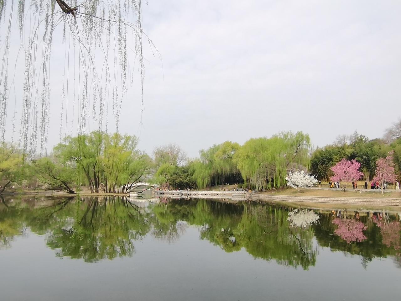 今年春天最想实现的心愿柳色如烟，春水如镜，一岸繁花，半湖春色。猜猜这是哪里？[微