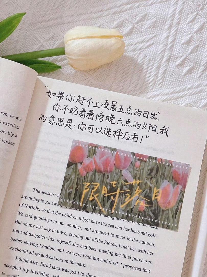 如果你赶不上凌晨五点的日出，也没关系…… 