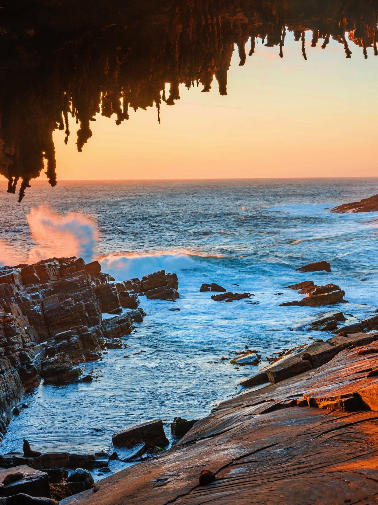 被《孤独星球》pick的袋鼠岛（Kangaroo Island）是一个“没有围栏