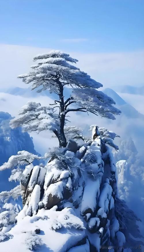 上联：雨露润花姿
下联：风霜砺松品