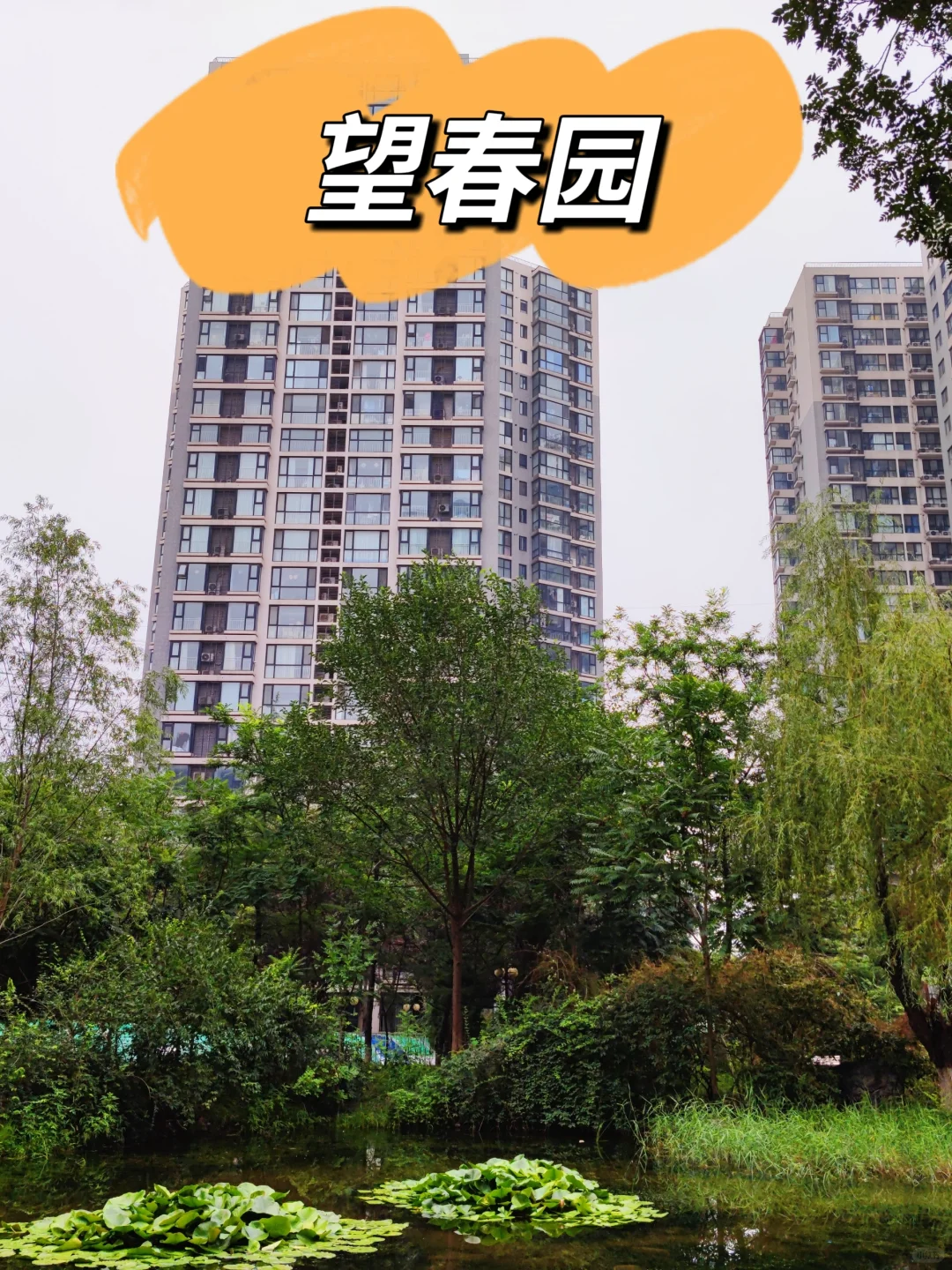 北苑家园的标杆小区—望春园（下）