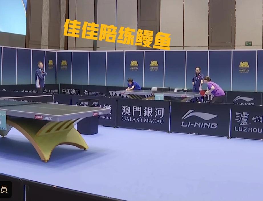 王曼昱打伊藤美诚，这次何卓佳来陪练，马琳指导和任浩教练同陪伴

这次澳门世界杯上