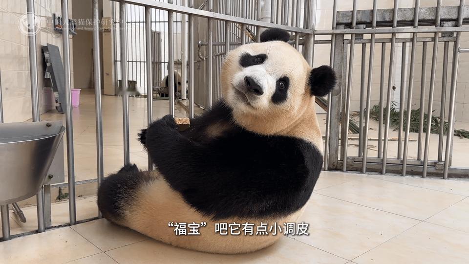 第一反应，这是奶爸的视角，接下来，前一秒感觉地方好干净啊，后一秒，身后的那个房间