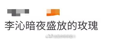 李沁暗夜盛放的玫瑰 李沁就是暗夜玫瑰本人吧！黑色穿搭简约大气，雪花闪钻胸针点亮整
