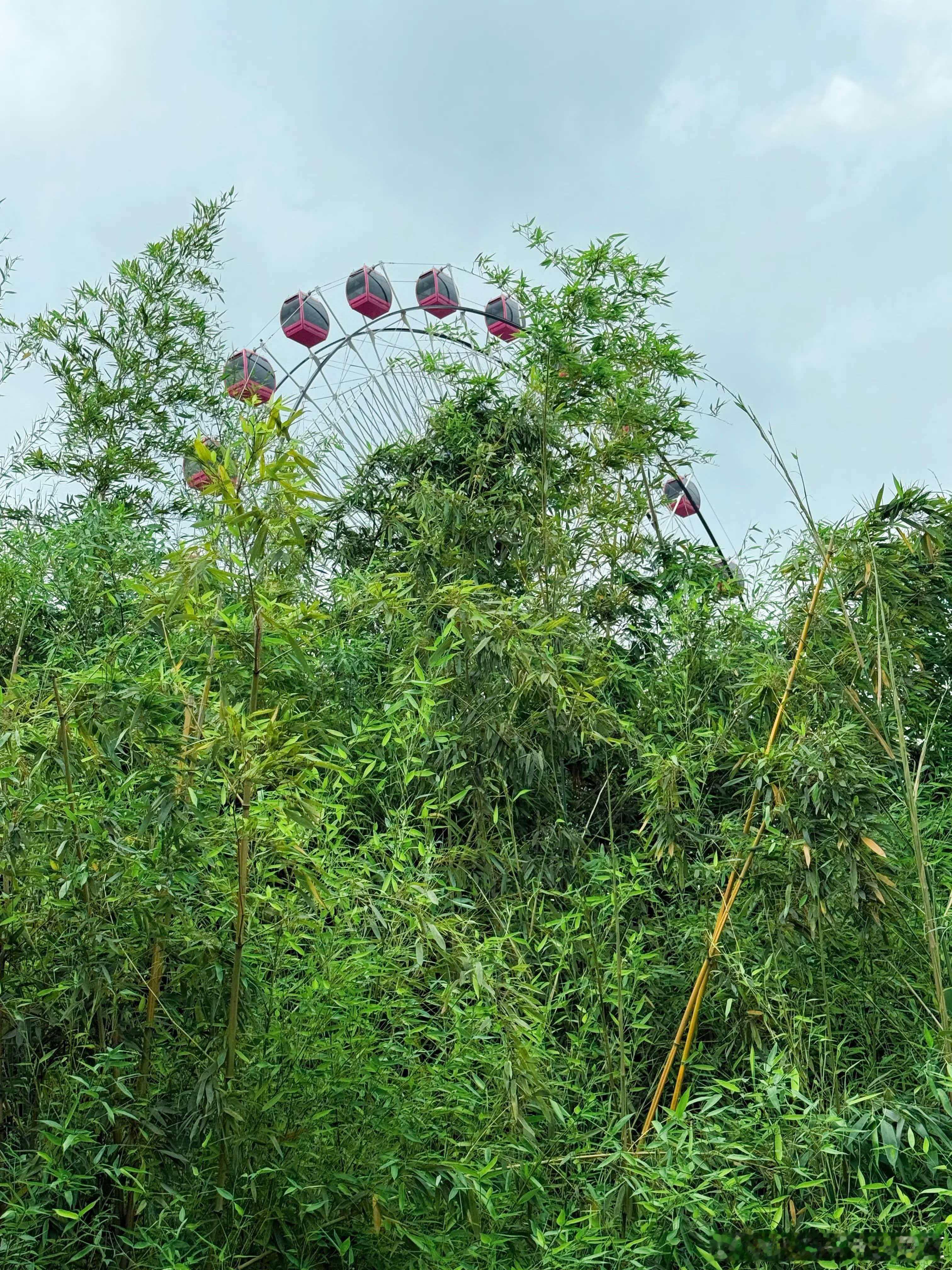 武汉城市漫游攻略  ColorWalk开启绿色专场🍃以绿意当线索，在城市绿肺里