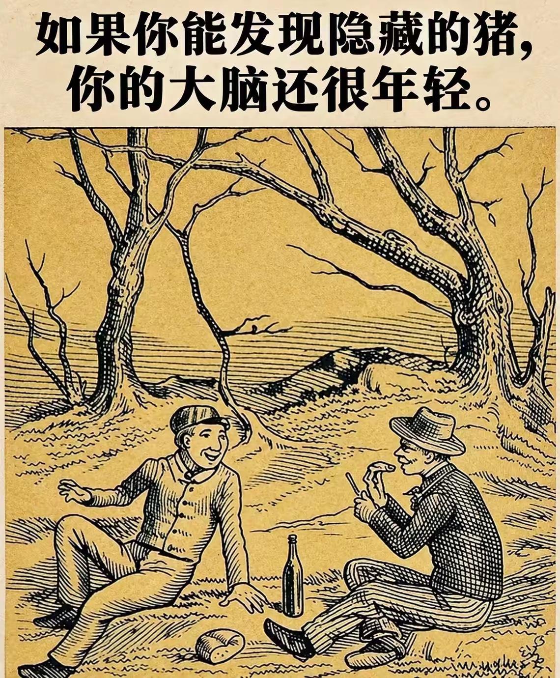 你能发现那只隐藏的猪吗？