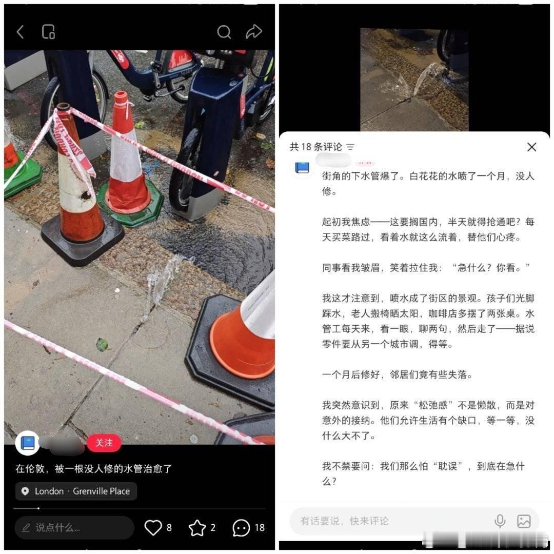 “在伦敦，被一根没人修的水管治愈了” 