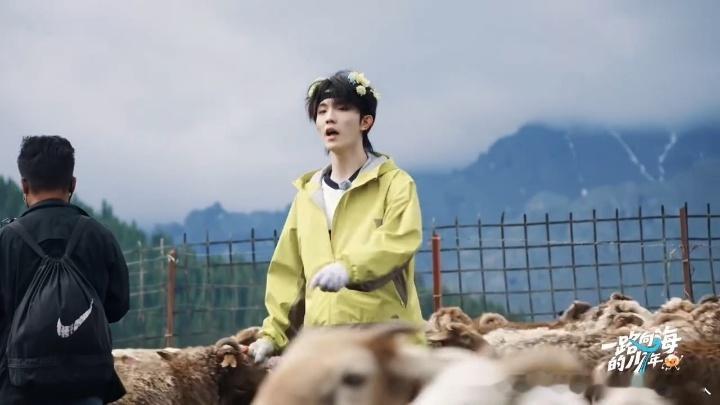 苏新皓馕音赶羊苏新皓方言天赋点还在增加一路向海的少年 谁懂赶羊还用馕音是什么体验