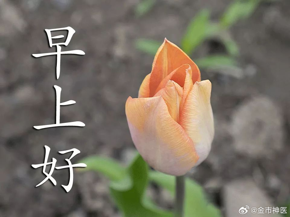 早上好，打开盘面，新的一天正式开始☀️☀️交易这件事，耐心比聪明更重要。今天不预