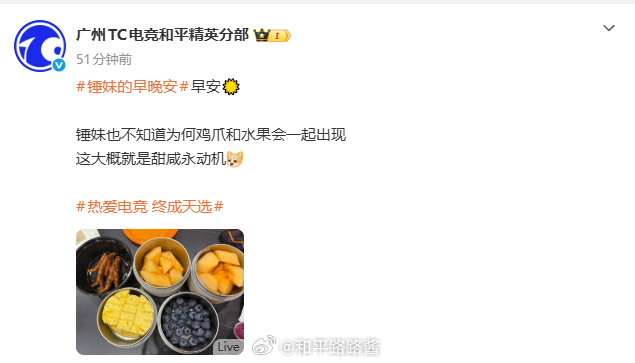 鸡爪拿一边，水果给我吃就好2026pel春季赛 2026PEL