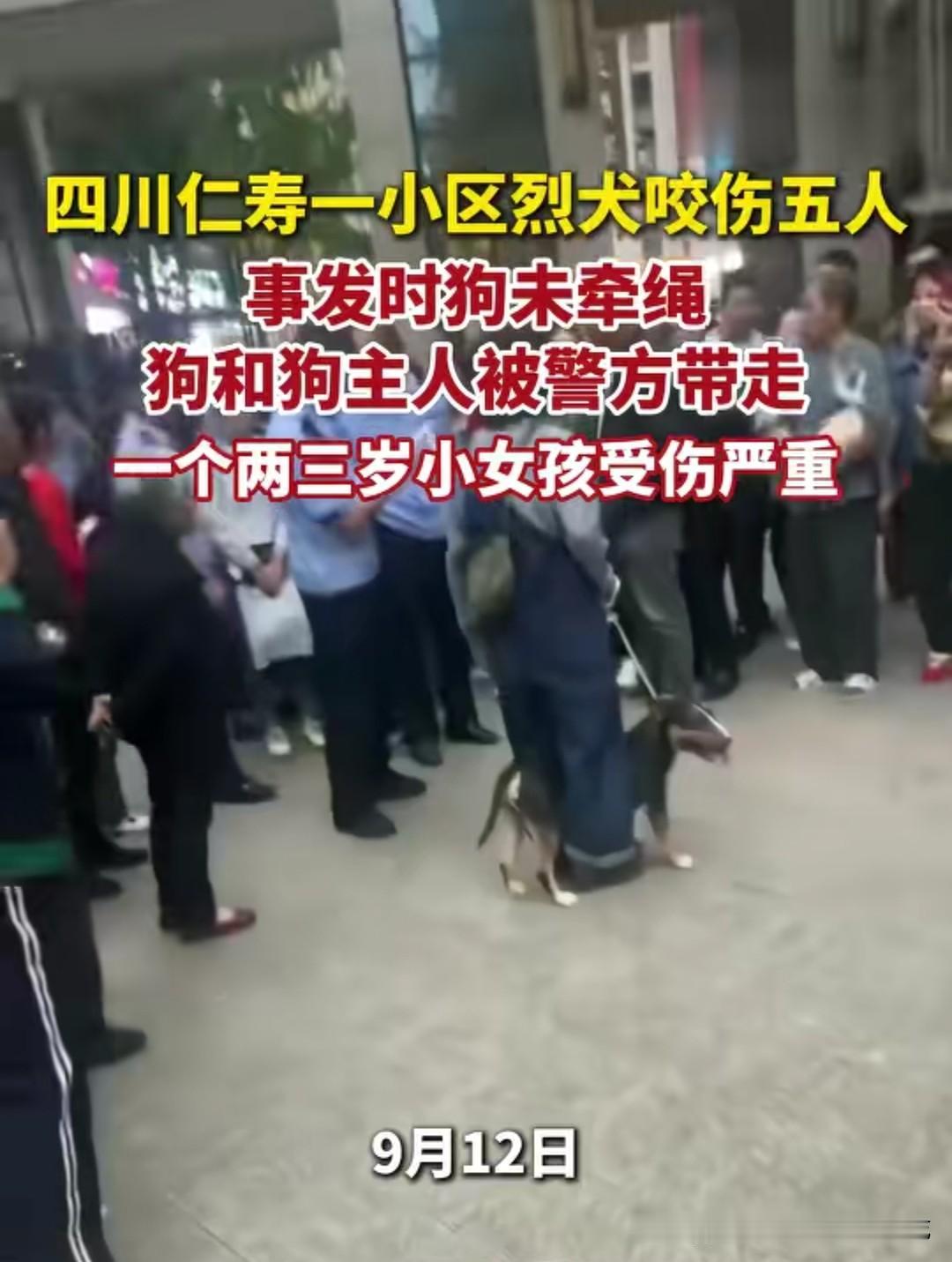 一只被明令禁养的烈性犬，本不该出现在有孩子奔跑的小区里，可它还是咬伤了五个人，把