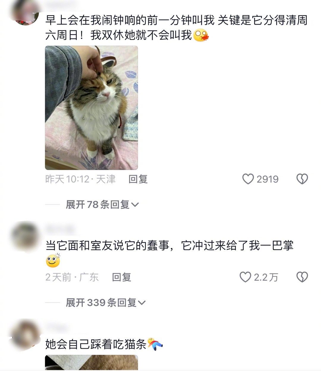 想知道大家的猫猫都干过什么样聪明的事[允悲]有些人的猫也太聪明了这简直要成精了 