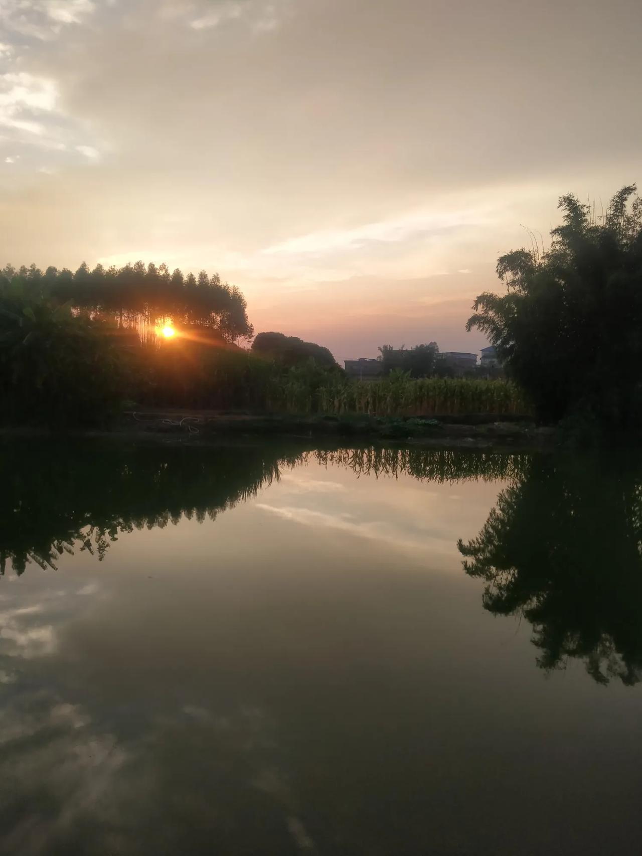 #我拍到的落日瞬间#在波光粼粼的湖面上，傍晚的太阳如同一位害羞的少女，悄悄地从茂