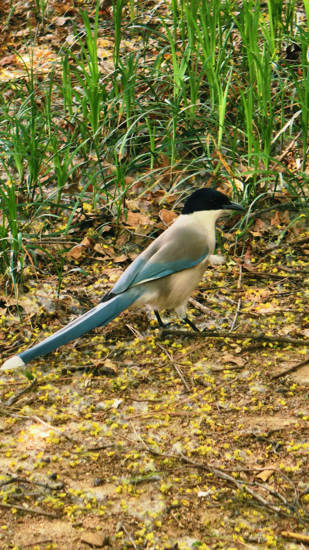 记录美好瞬间 美，就在身边，只是缺乏发现美的瞬间。
