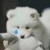 张湾侃侃影视剧