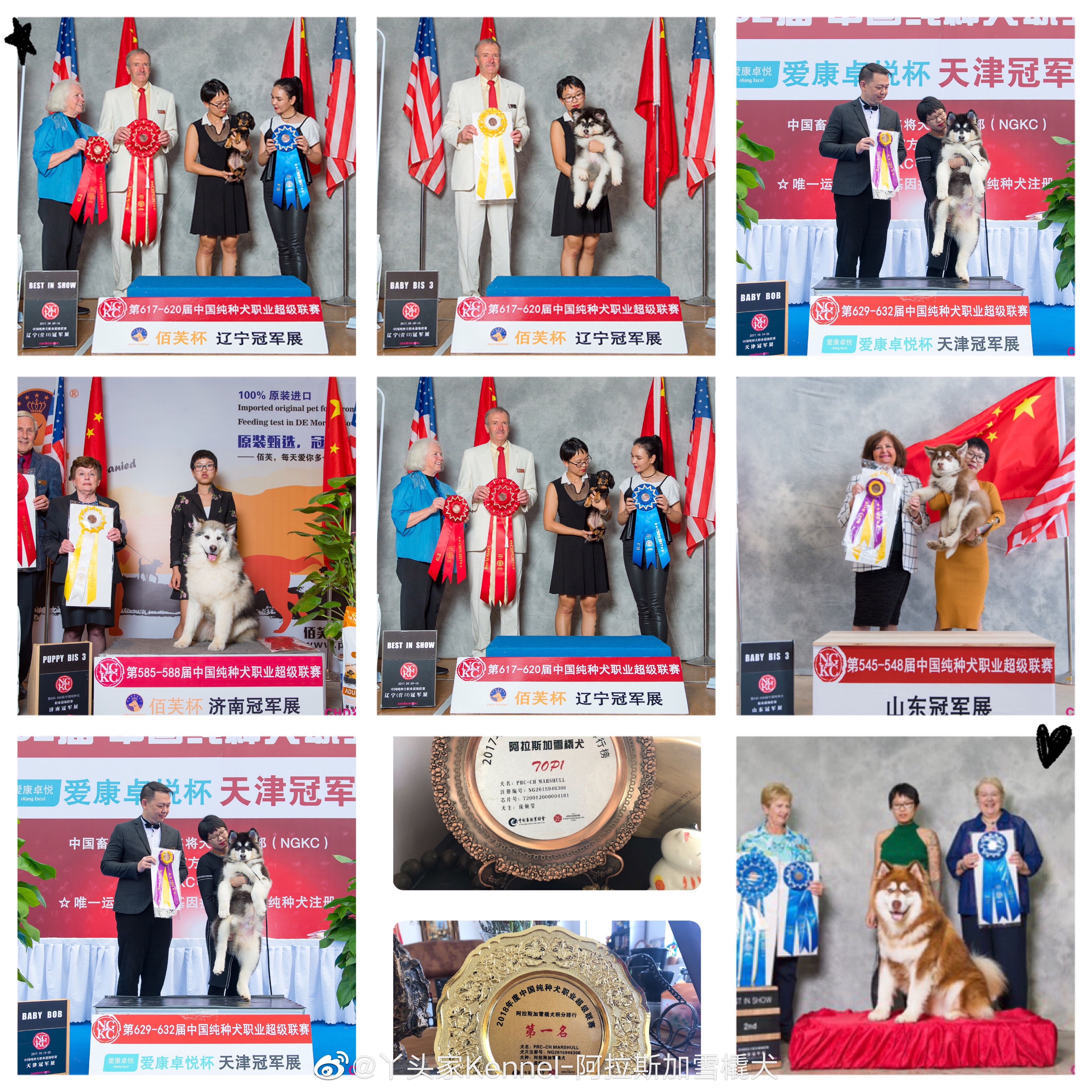 丫头家犬舍[打call] 简介 1326937432009年成立NGKC 201