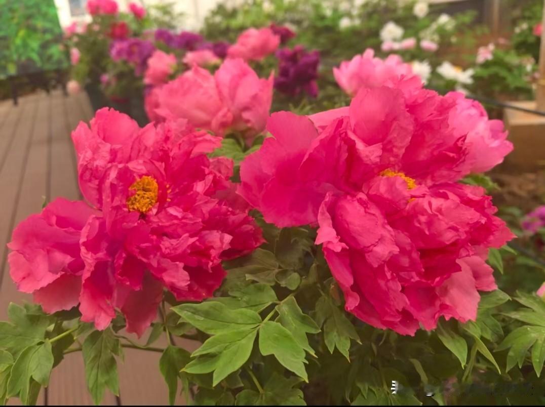 孩子顶嘴时
“高情商接话”
1. “你再说一句试试”
换成：有情绪可以说，但不可