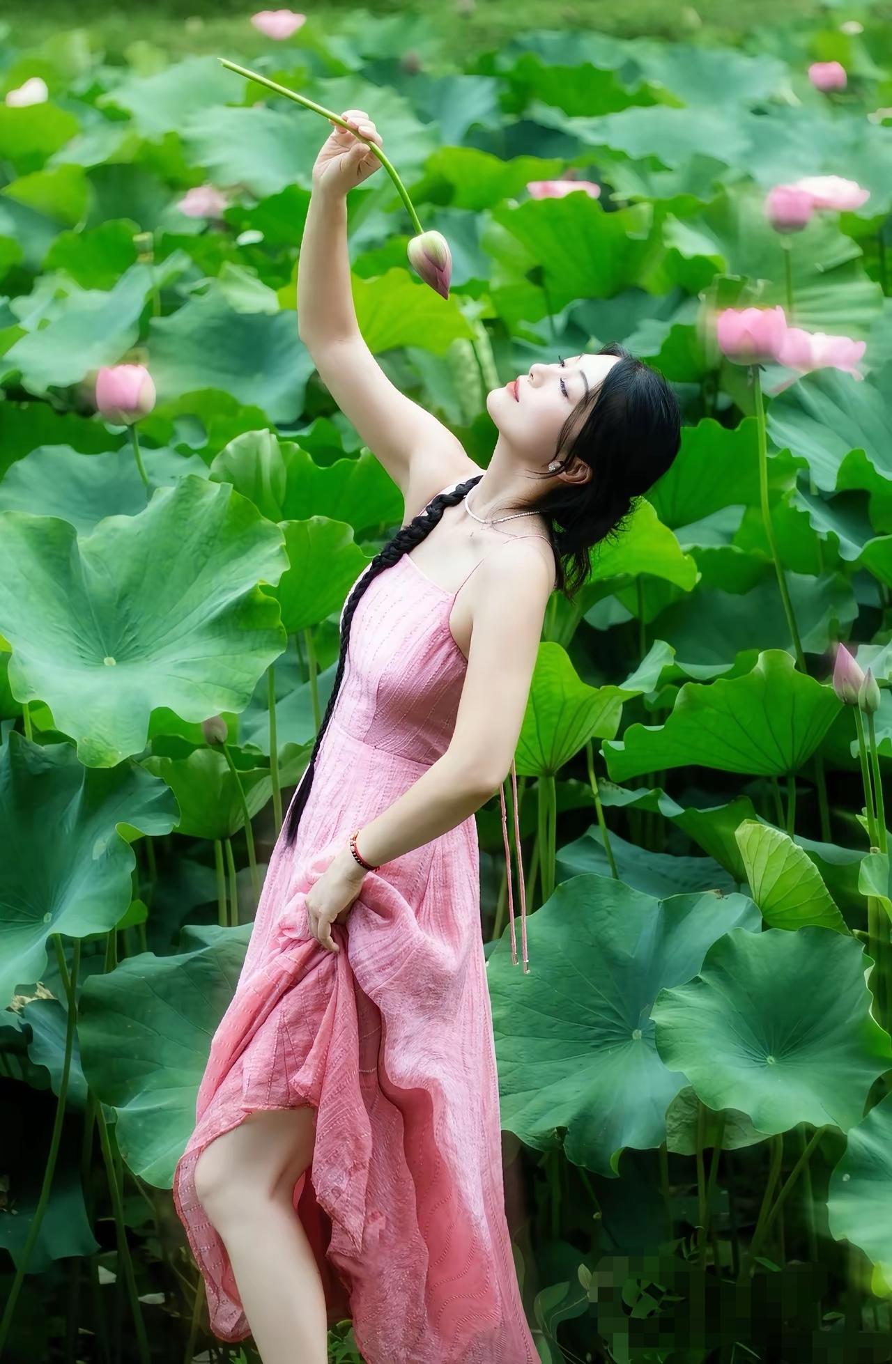 荷花池边