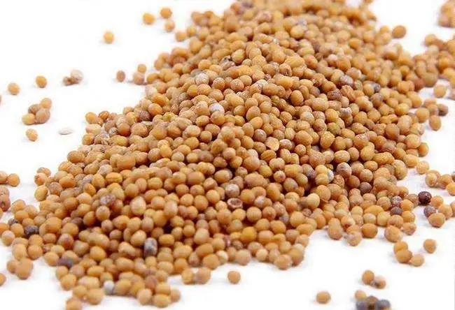 行医60年的爷爷告诉我：身弱就会长结节，可以向天借能量！3味药，消除患者4mm的