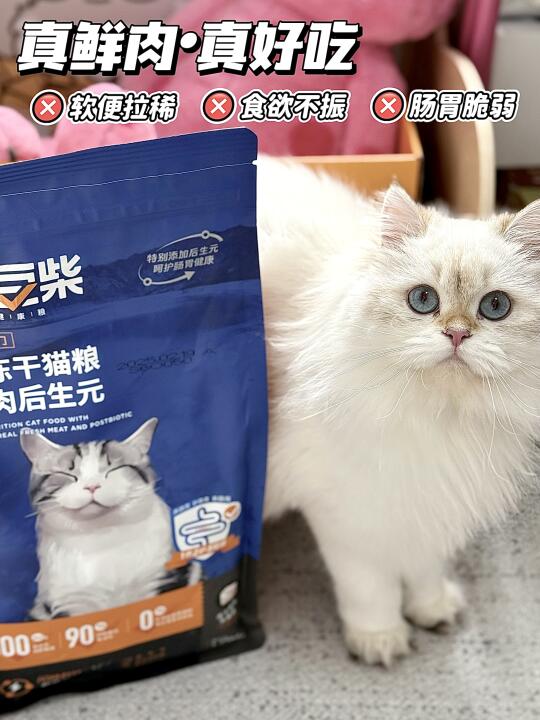 🔥被猫粮pua三年终于觉醒！实名向豆柴道歉🔥
