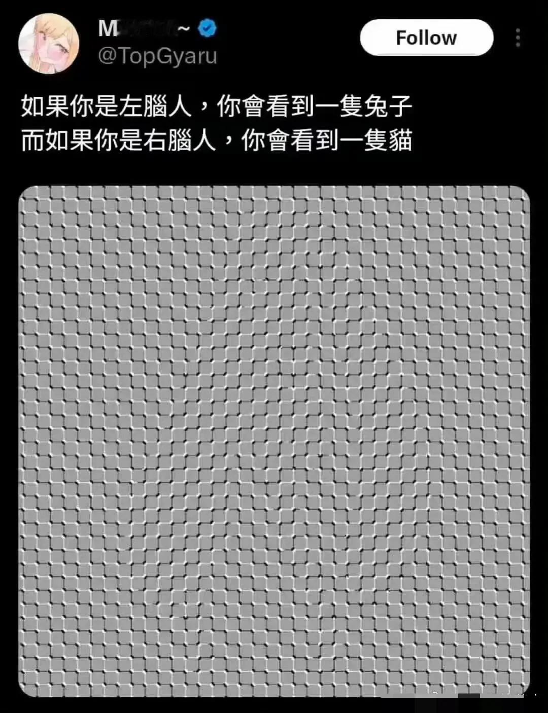 你们看到的是什么🤔