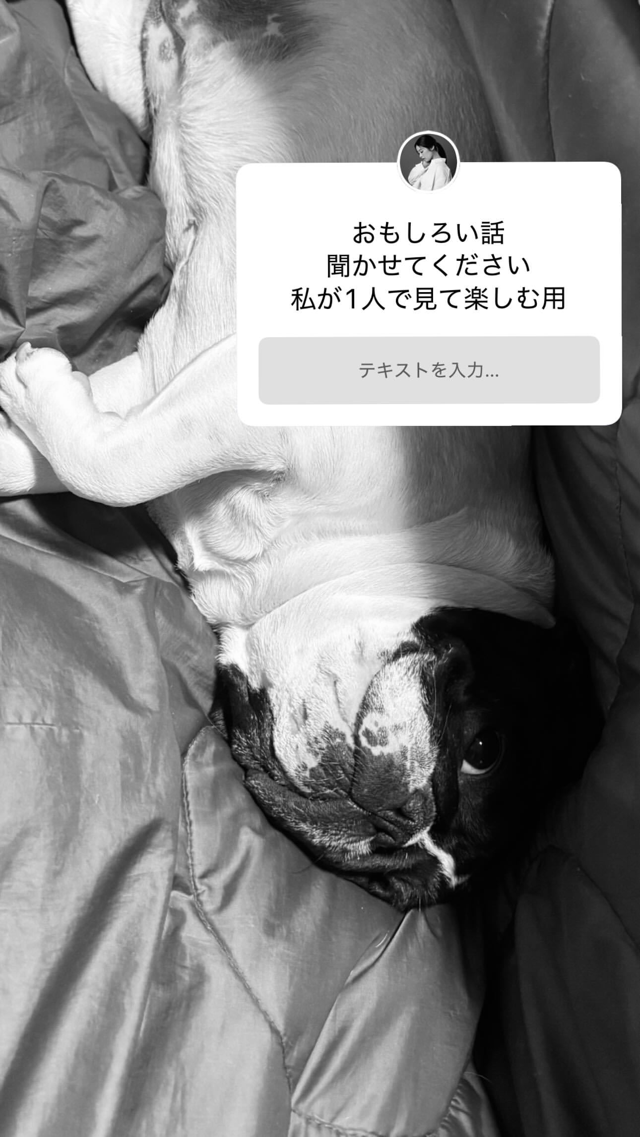 齋藤冬優花　　fuustagram ​​​