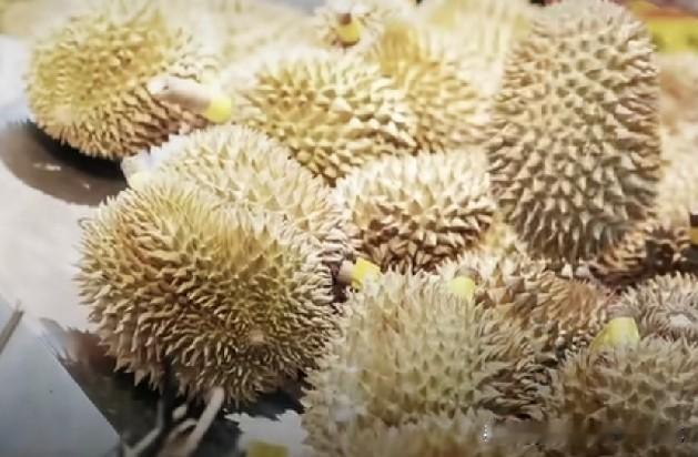 太离谱了，万万没想到，我们高价买的榴莲可能是化工染料染出的榴莲！
近日，海关截下