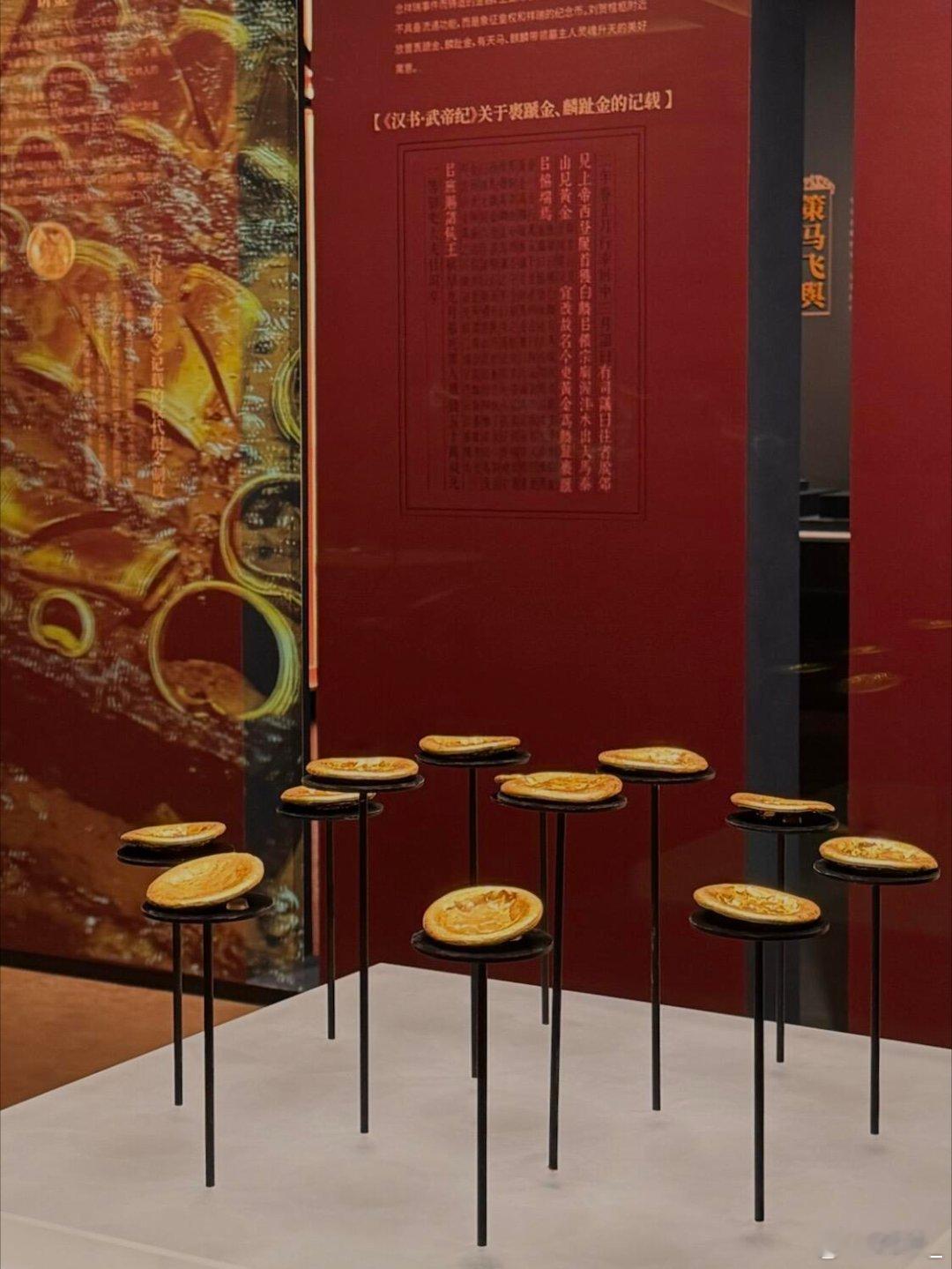 常州新展！感受海昏侯的黄金美学！！海昏侯刘贺，即帝位27天，便被霍光等一众大臣联