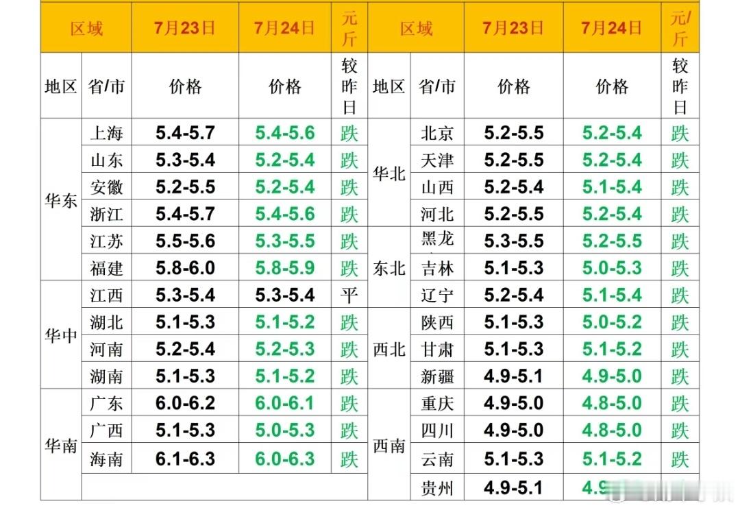每日猪价 