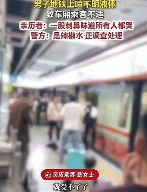 广州地铁3号线，晚高峰。

车厢里塞满了人，像一只密不透风的铁皮罐头。有人低头刷