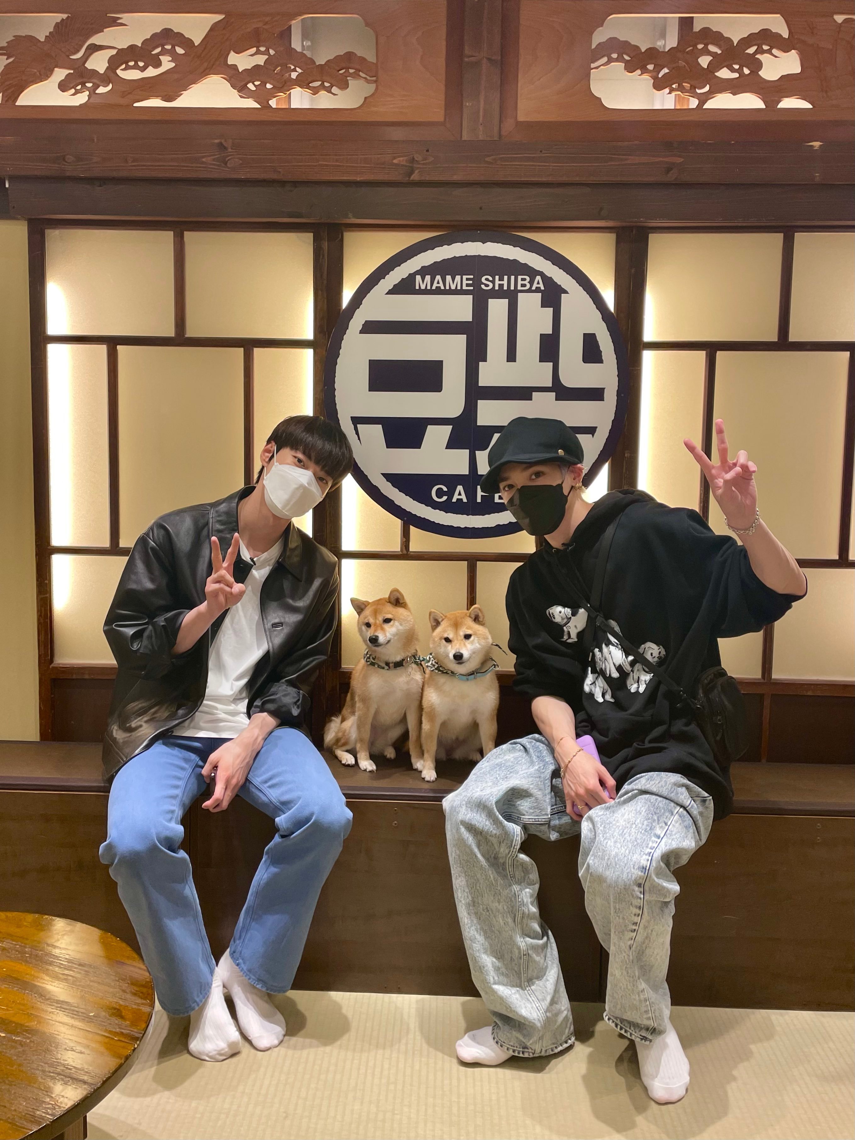 好萌呀 