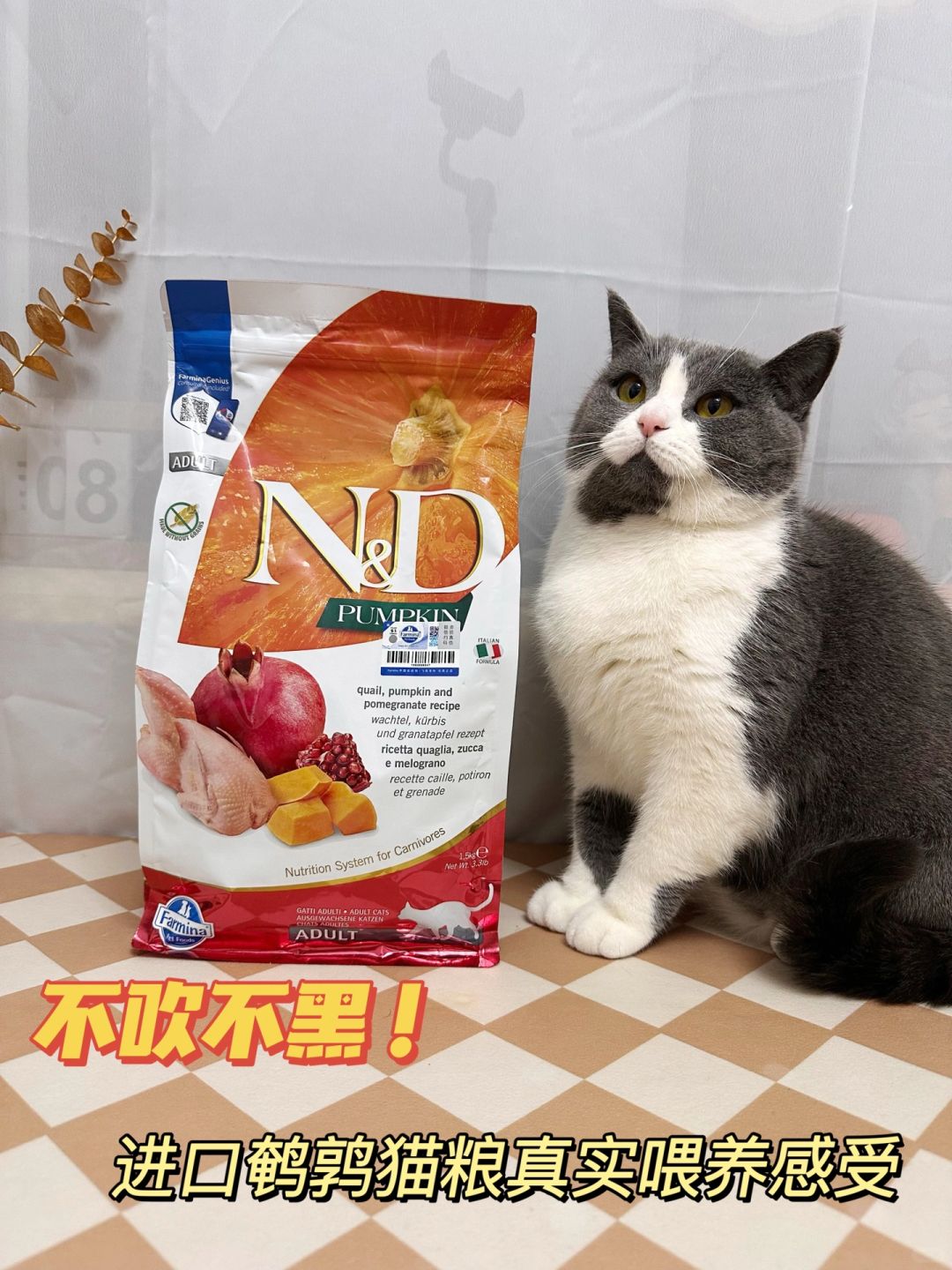 不吹不黑！进口鹌鹑猫粮真实喂养感受