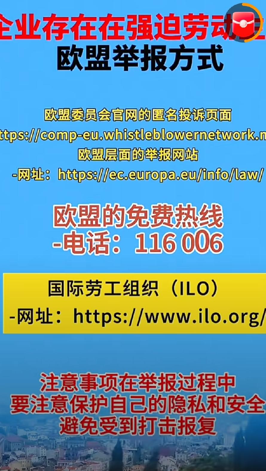 2026互联网记录，企业存在强迫劳动，欧盟举报热线。