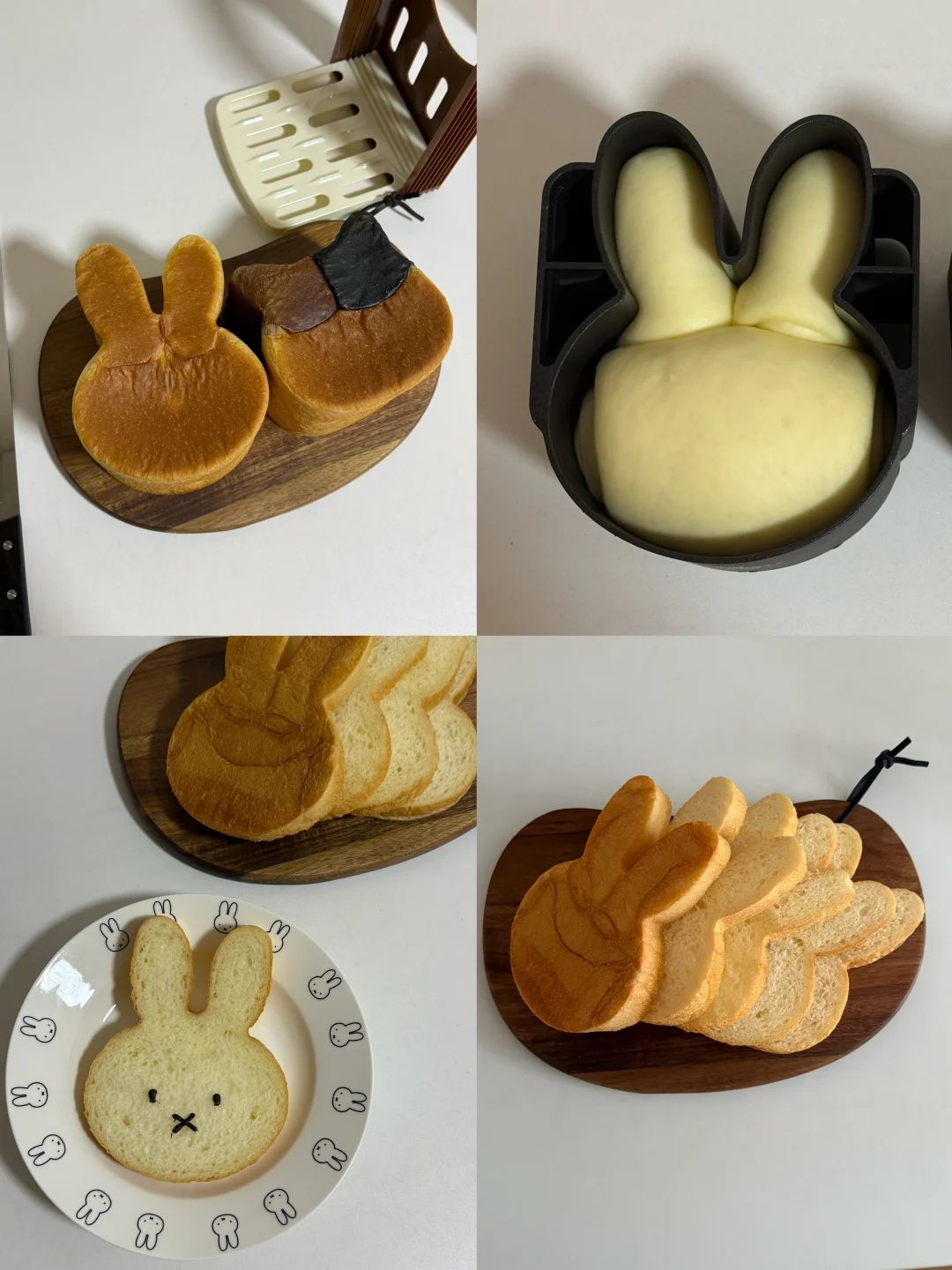 ₍ᐢ. ₓ .ᐢ₎米菲兔吐司🍞